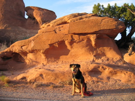 USA Roadtrip 03 - 14